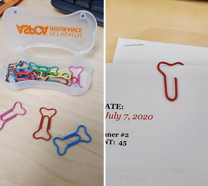These Dog Bone Paperclips Are Working Double Duty
