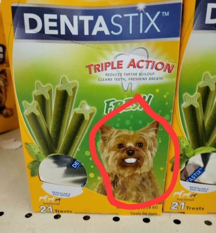 Who Knew Dogs Were So Scary When They Smiled?