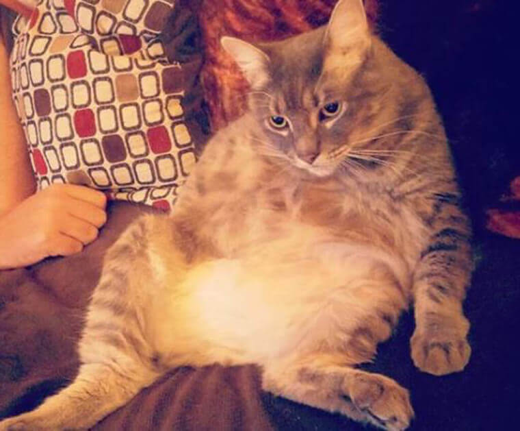 Self-Love Is All That Matters!