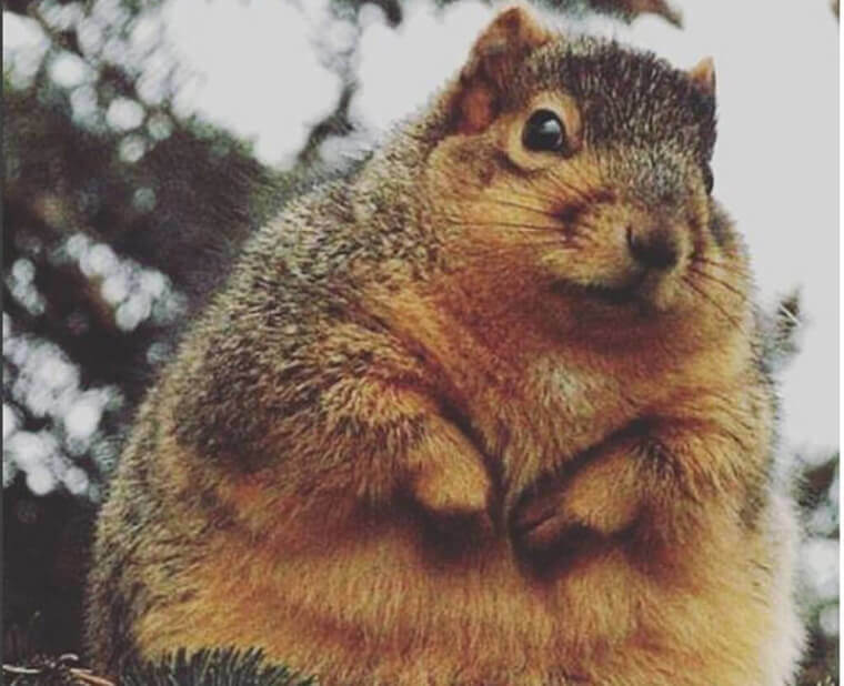 Not That ‘Ready’ For Winter