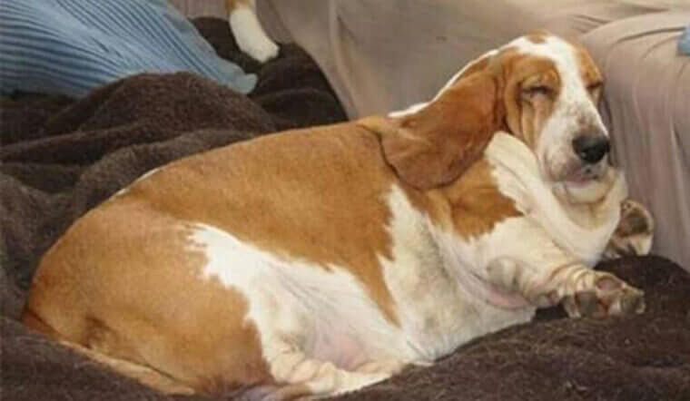 Nap Time Is The Best Time!