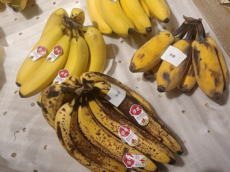 Eating Expired Food Regularly