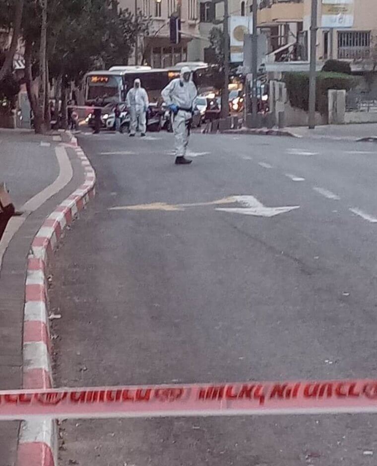 'Someone Find That Monkey'