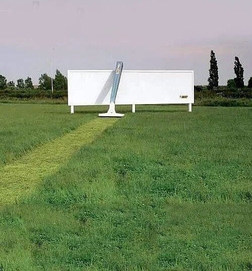 Now That’s a New Way To Mow the Lawn