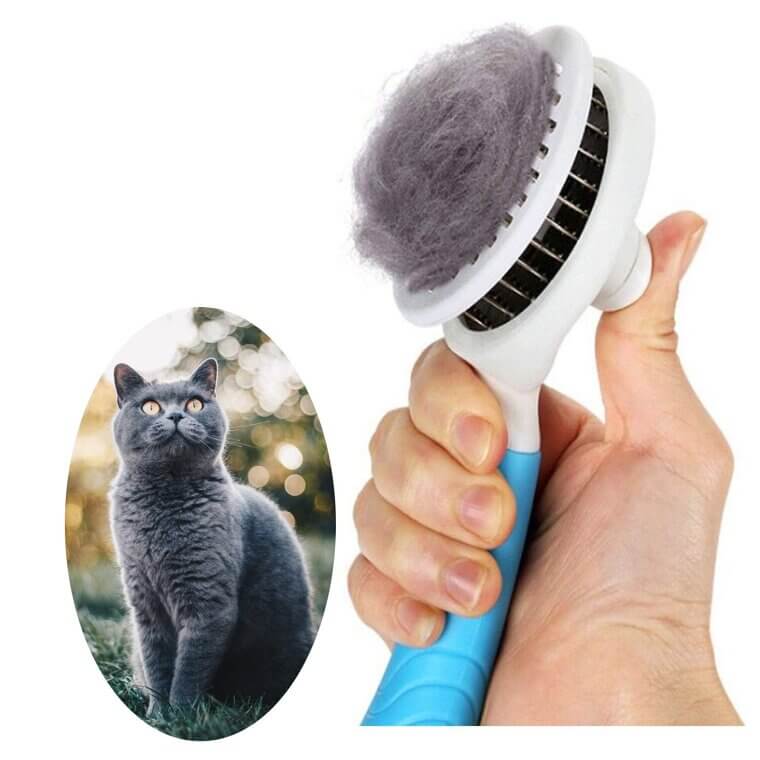 Self Cleaning Brush for Cats & Dogs - Easy Grooming! 