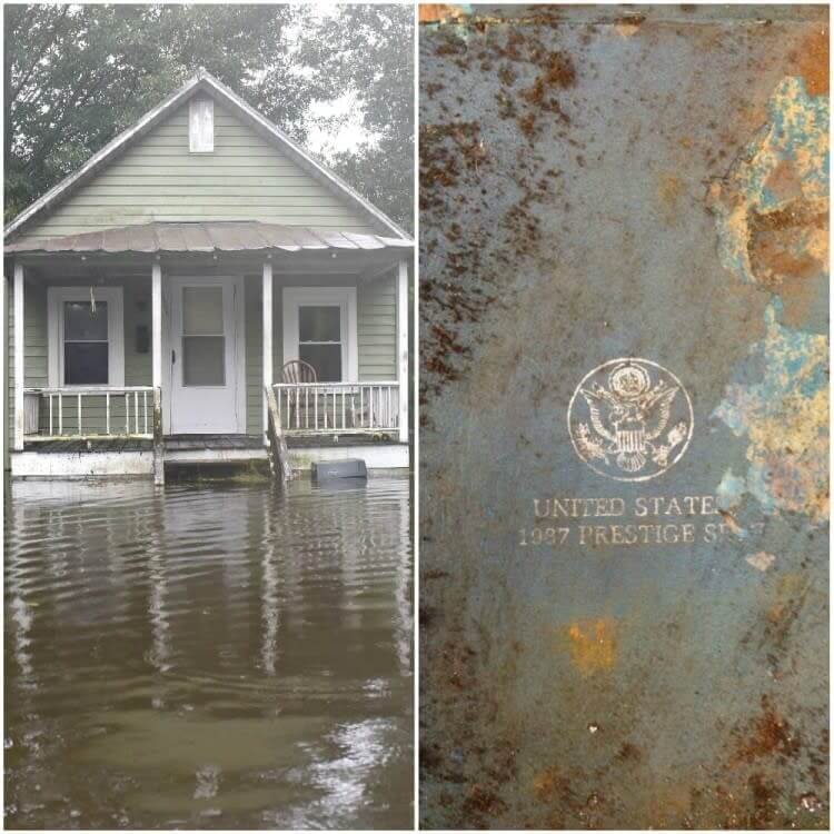 A Sturdy Book