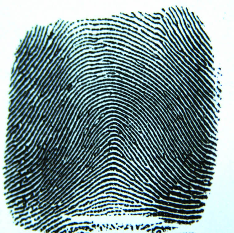 アーチ型の指紋を持つ人は、わずか5%。