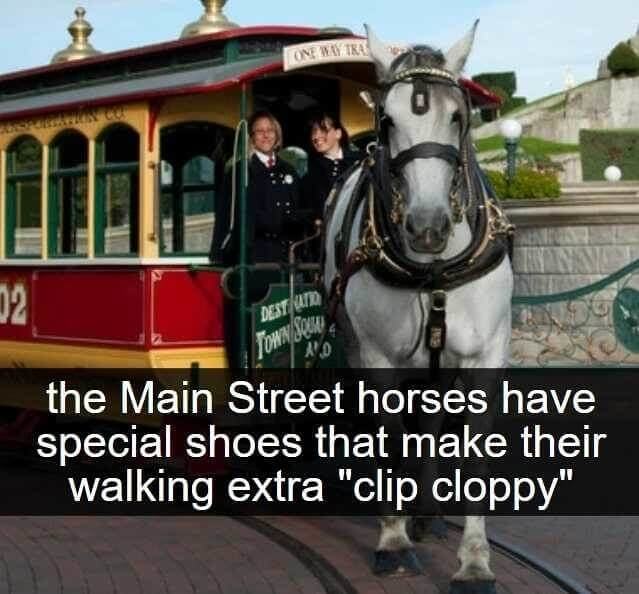 No es raro que oigas el trote de los caballos