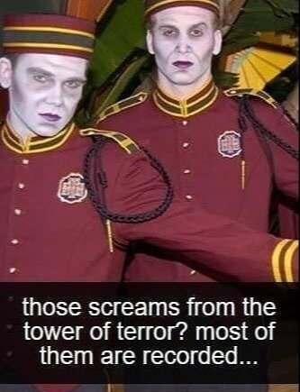 Los gritos de la Torre del Terror