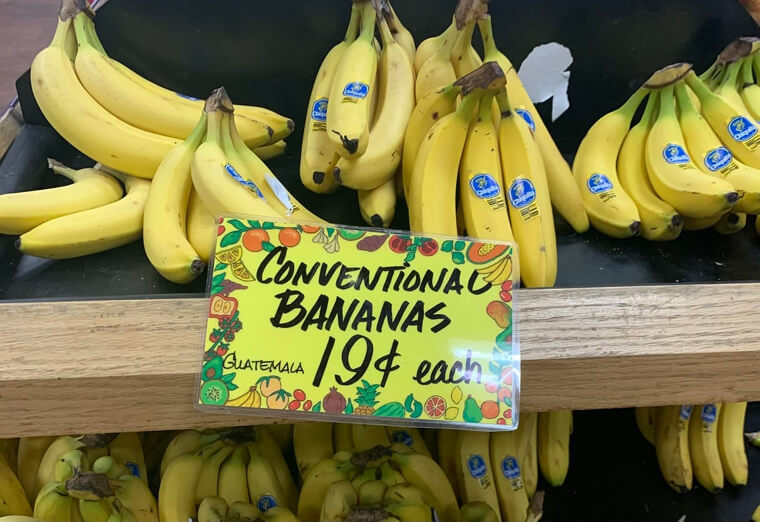 The Bananas That Never Let You Down