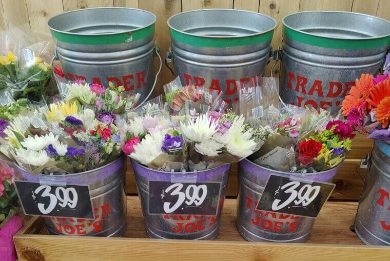 The Flowers That Brighten Any Day