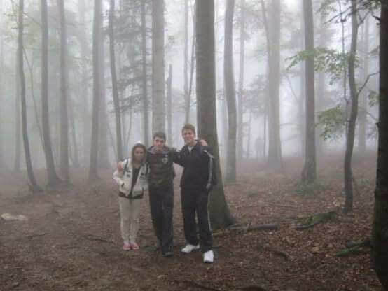 Une Présence Inquiétante Dans La Brume