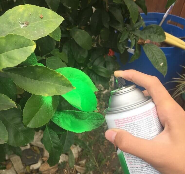 Relying Too Much on Chemicals