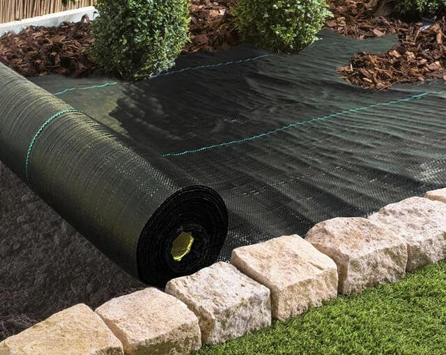 The Problems With Weed Fabric