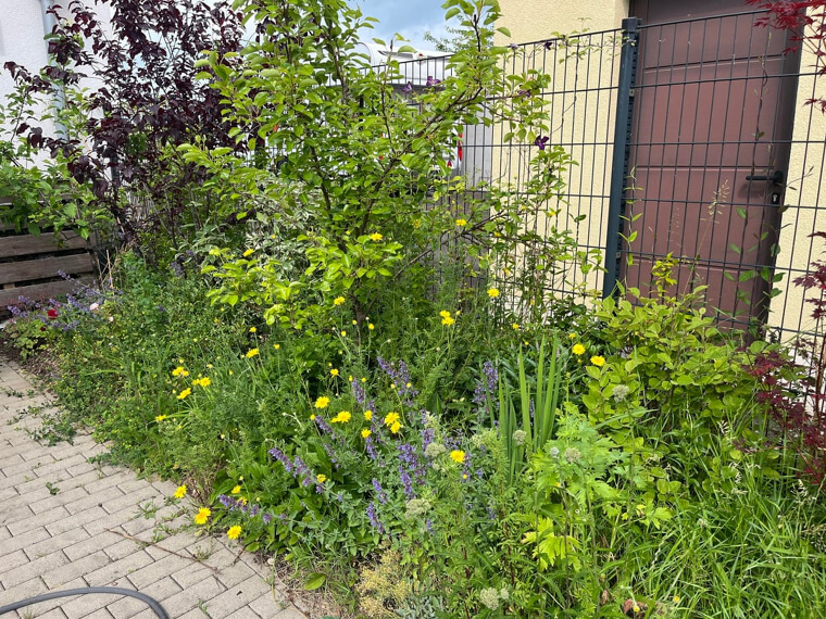 Over Planting for Instant Privacy