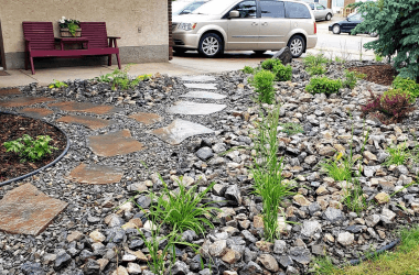 Why Your "low Maintenance" Yard Is Actually Costing a Fortune