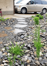 Why Your "low Maintenance" Yard Is Actually Costing a Fortune
