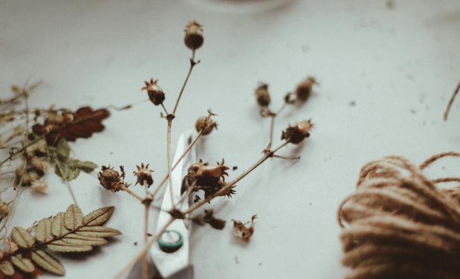 Decorating With Dried Flowers and Natural Accents