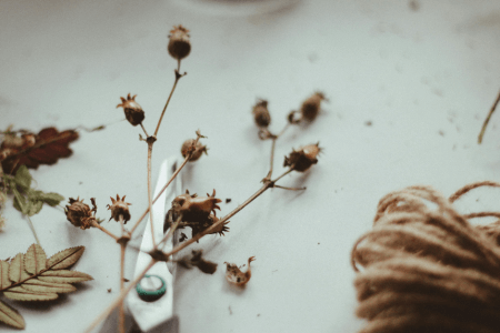 Decorating With Dried Flowers and Natural Accents