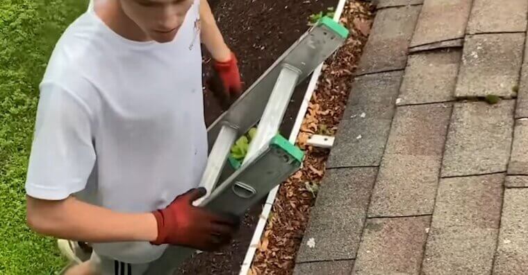 Leaves Clogging Gutters