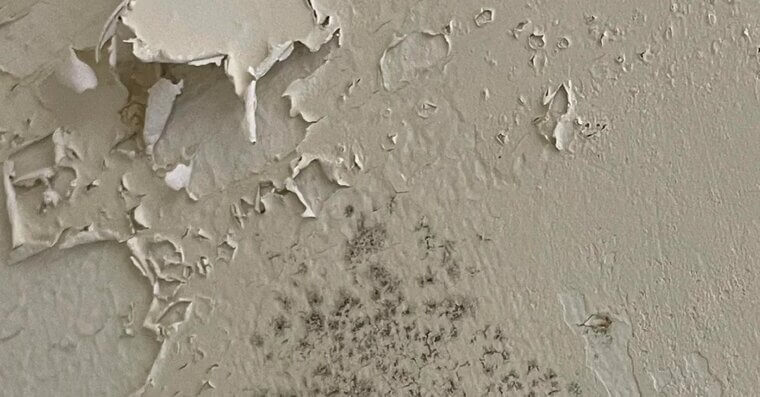 Moisture Building Up Behind Walls