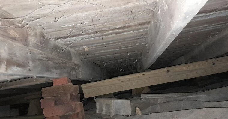 Poorly Ventilated Crawl Space