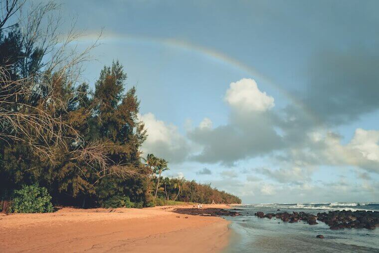 50. Hawaii: A Dream Destination With a Harsh Price Reality