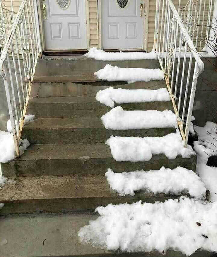 This Neighbor Is Just Cold, Ice Cold