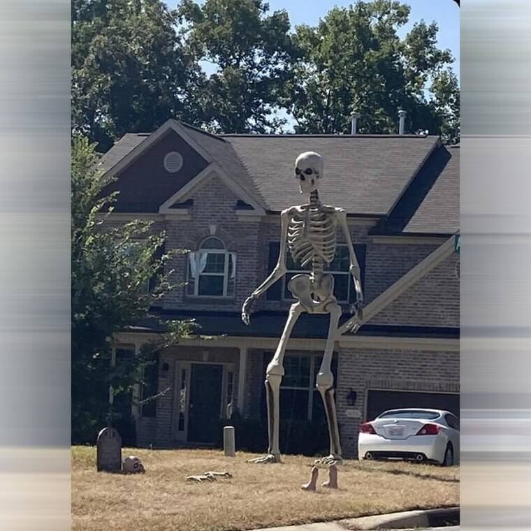 Describe the New Neighbor? Well He's Very Tall, and Very Thin