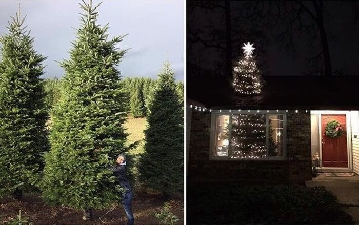 Who Has The Best Tree In The Neighborhood Now, Gary?