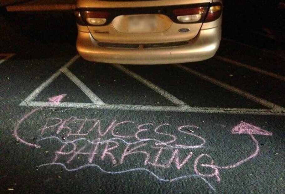 이웃이라고 해서 친구가 되는 것은 아니라는 것을 증명하는 이 사진들