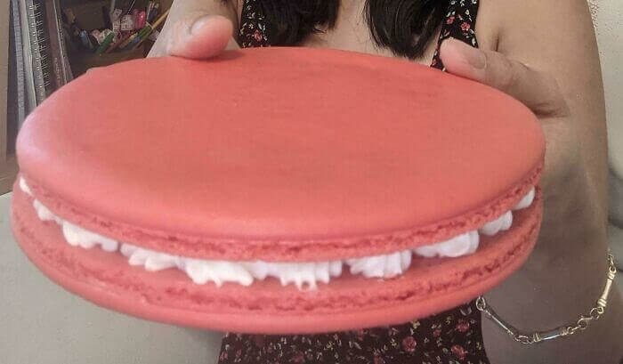 Unità Assoluta Di Un Macaron Francese