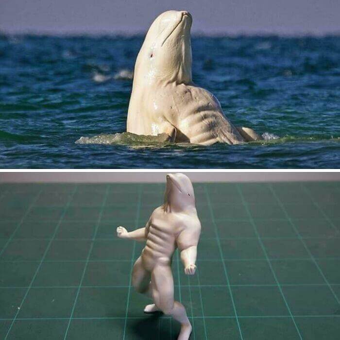Dolphin Lundgren