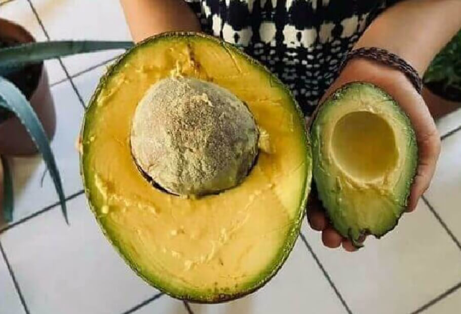 Disse bildene beviser at størrelse betyr noe når det gjelder Moder Natur