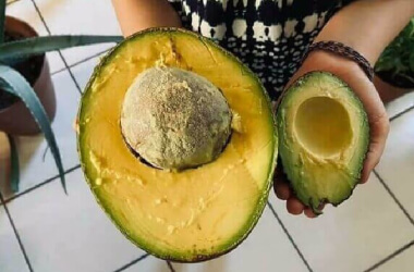 Queste Foto Provano Che Quando Si Parla Di Madre Natura Le Dimensioni Contano