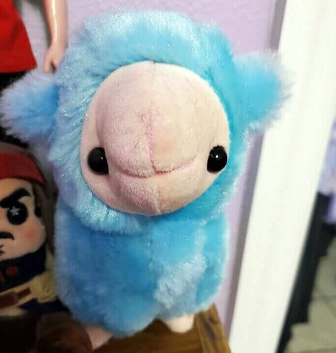 No Drama, Llama