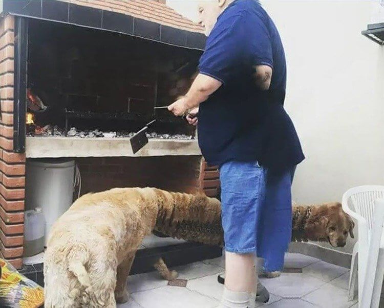 Dogs Will Do Anything to Lick Every Last Crumb