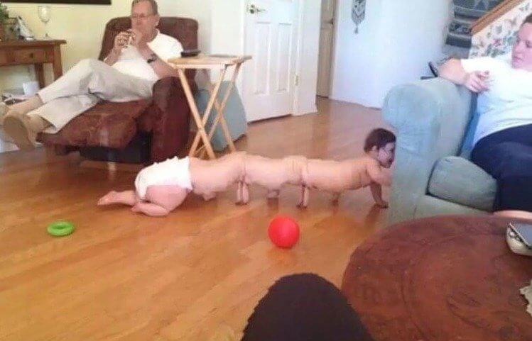 Have You Ever Seen a Baby Centipede?