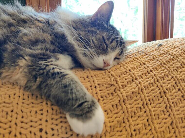 You Nap to “catch Up” on Poor Sleep