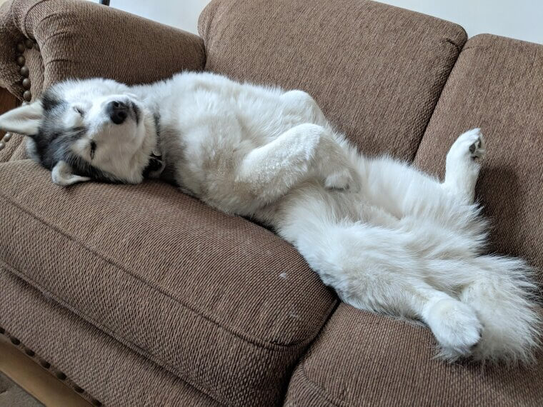 You Nap More During the Day