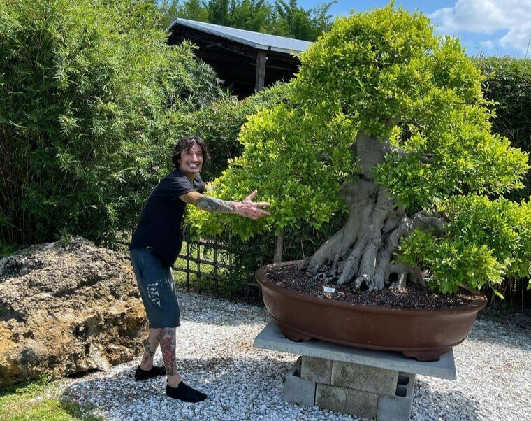 Tommy Lee Takes Care Of Bonsai Trees