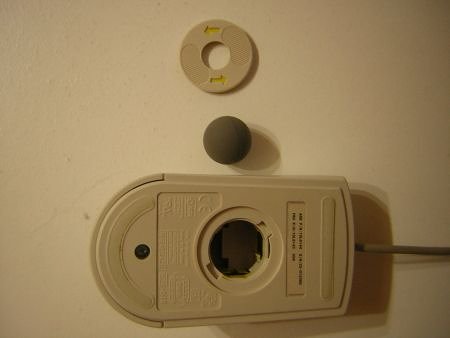 The Mouse With Its Ball