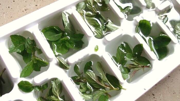 Congelare le erbe fresche per questo motivo