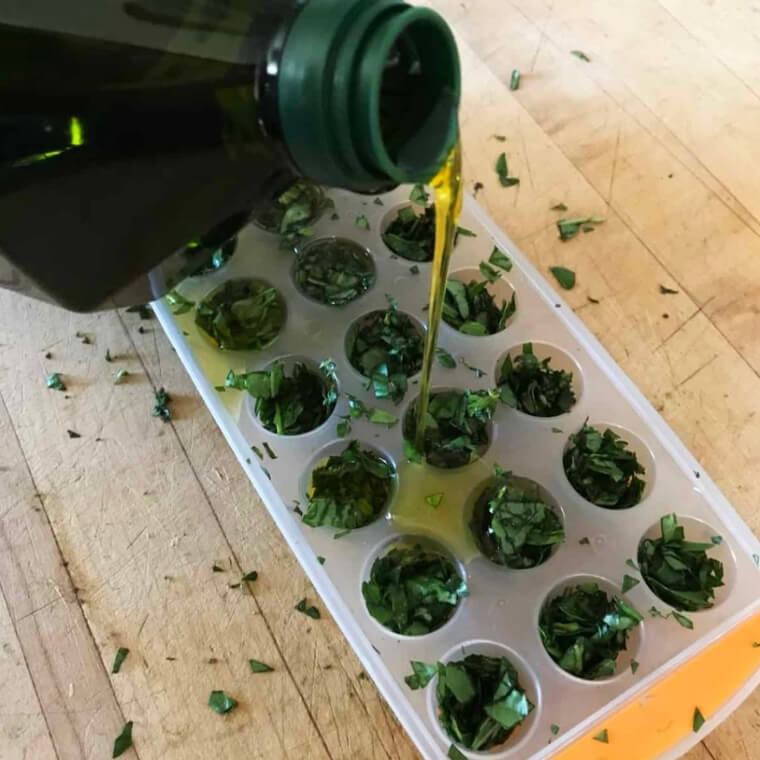 Congelare e conservare le erbe nell'olio d'oliva per cucinare più facilmente