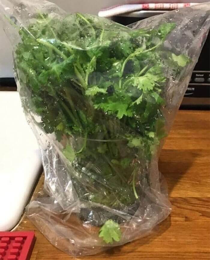 Tratta le tue erbe delicate come fiori