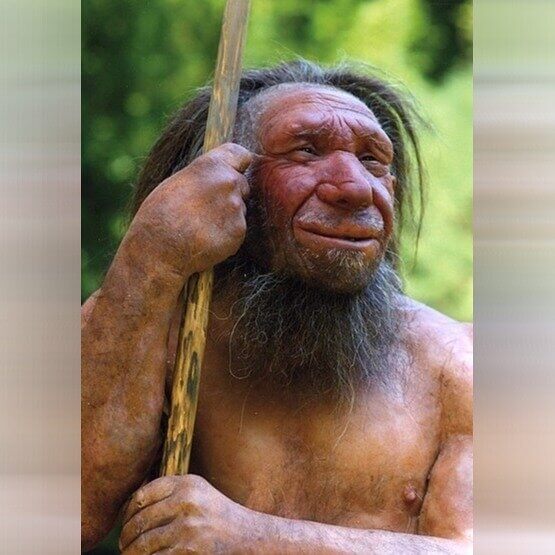 Neanderthals Weren’t Actually Inferior To Humans