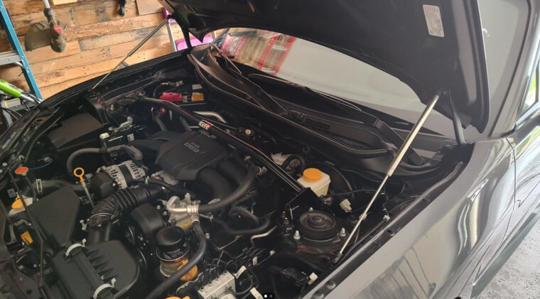 Hood Struts (Gas Lift Support)