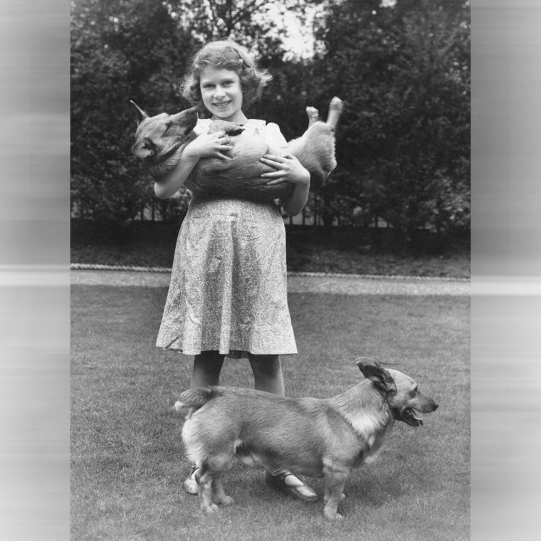 She Sent Letters on 100th Birthdays