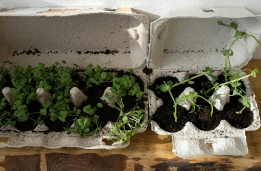 Everyday Items That Need Special Disposal and Most People Don’t Know