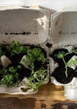 Everyday Items That Need Special Disposal and Most People Don’t Know